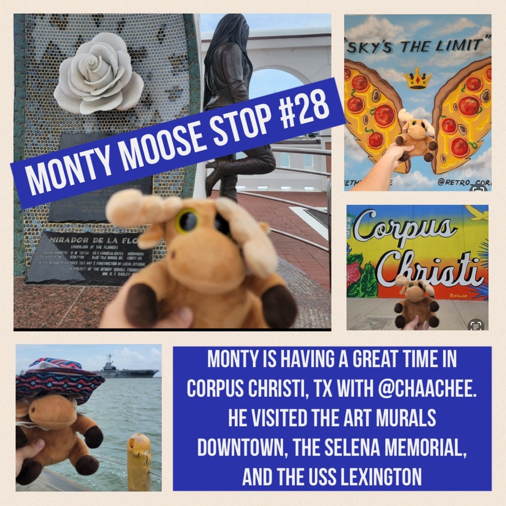 MONTY MOOSE TRACKING!     Where in the Posh Universe is Monty Moose? - Picture 8 of 16